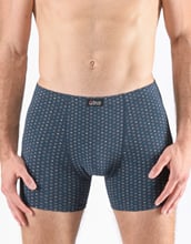 Pánské boxerky s delší nohavičkou GINO 74170P