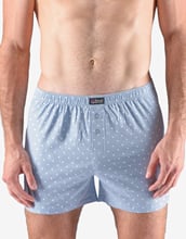 Pánské volné trenky GINO 75184P