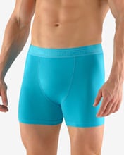 Pánské boxerky s delší nohavičkou GINO 74117P