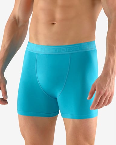 Pánské boxerky s delší nohavičkou GINO 74117P