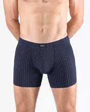 Pánské boxerky s delší nohavičkou nadměrné GINO 74174P