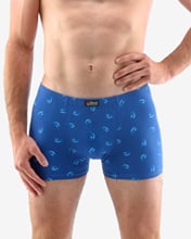 Pánské boxerky s kratší nohavičkou GINO 73121P