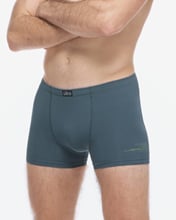 Pánské boxerky s kratší nohavičkou GINO 73134P