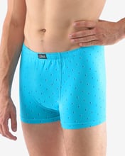 Pánské boxerky s kratší nohavičkou GINO 73108P