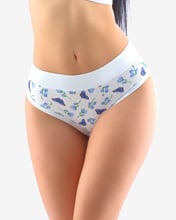 Dámské klasické kalhotky GINA 10256P