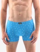 Pánské boxerky s kratší nohavičkou GINO 73114P