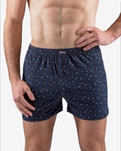 Pánské volné trenky GINO 75202P