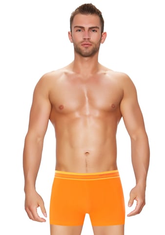 Pánské boxerky Active Wool BX10870 BRUBECK