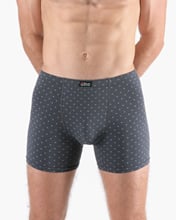 Pánské boxerky s delší nohavičkou GINO 74172P